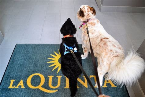 La Quinta Pet Policy .